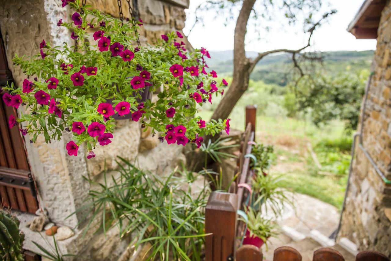 Cozy Istrian House Casa de hóspedes Izola Exterior foto